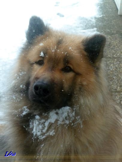 14.1.2018 - Schnee macht Freude